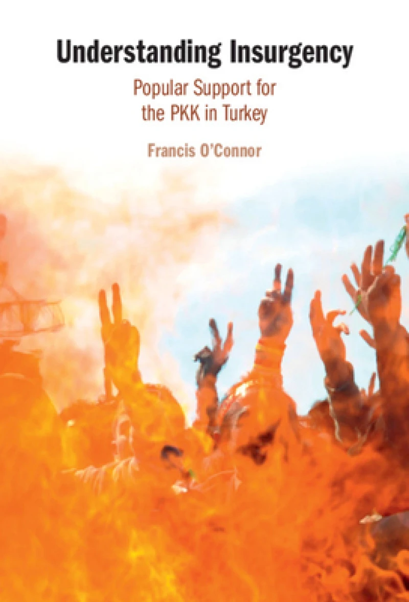 Understanding Insurgency