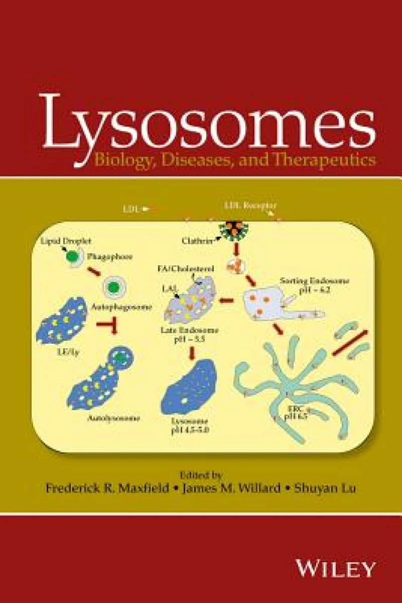 Lysosomes – Biology, Diseases, and Therapeutics