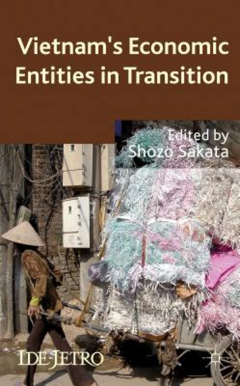 Vietnam''s Economic Entities in Transition