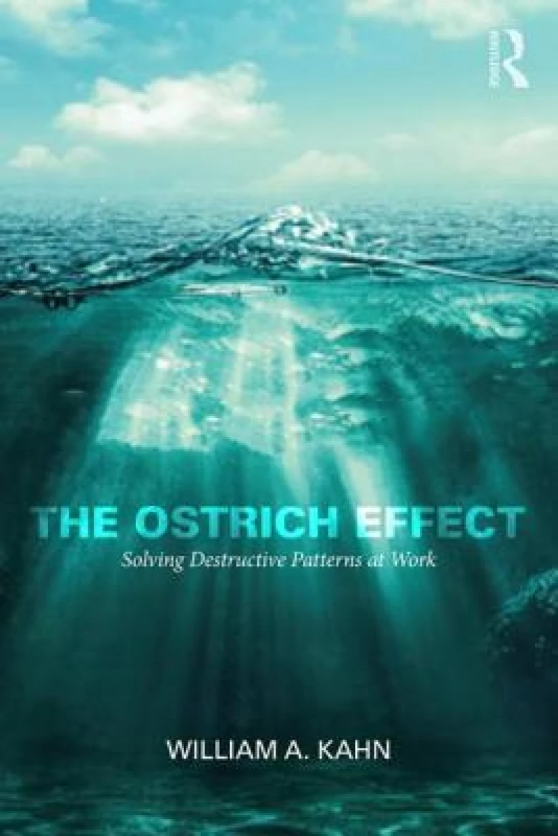 The Ostrich Effect