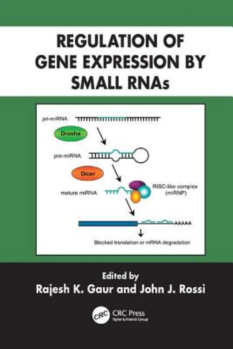 Regulation of Gene Expression by Small RNAs