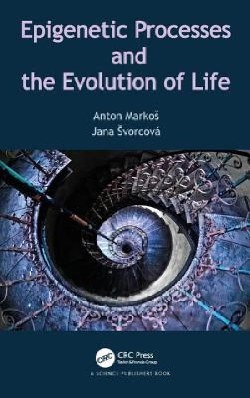Epigenetic Processes and Evolution of Life