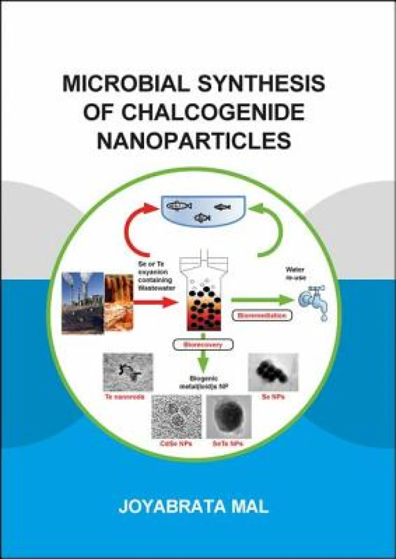 Microbial Synthesis of Chalcogenide Nanoparticles