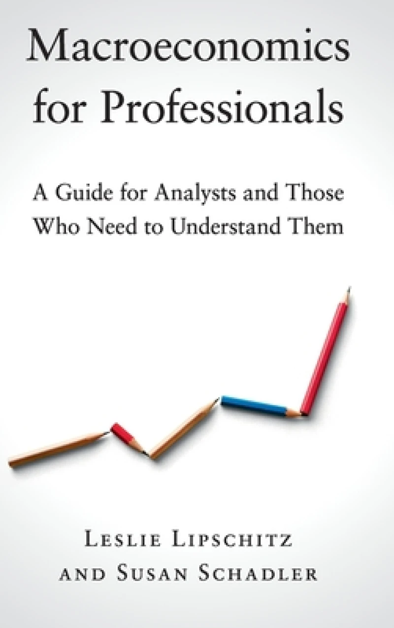 Macroeconomics for Professionals