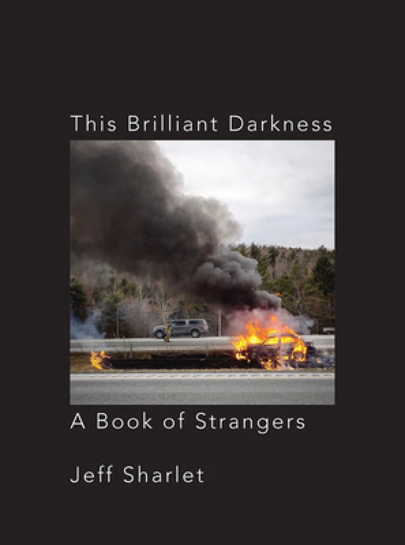 This Brilliant Darkness - A Book of Strangers