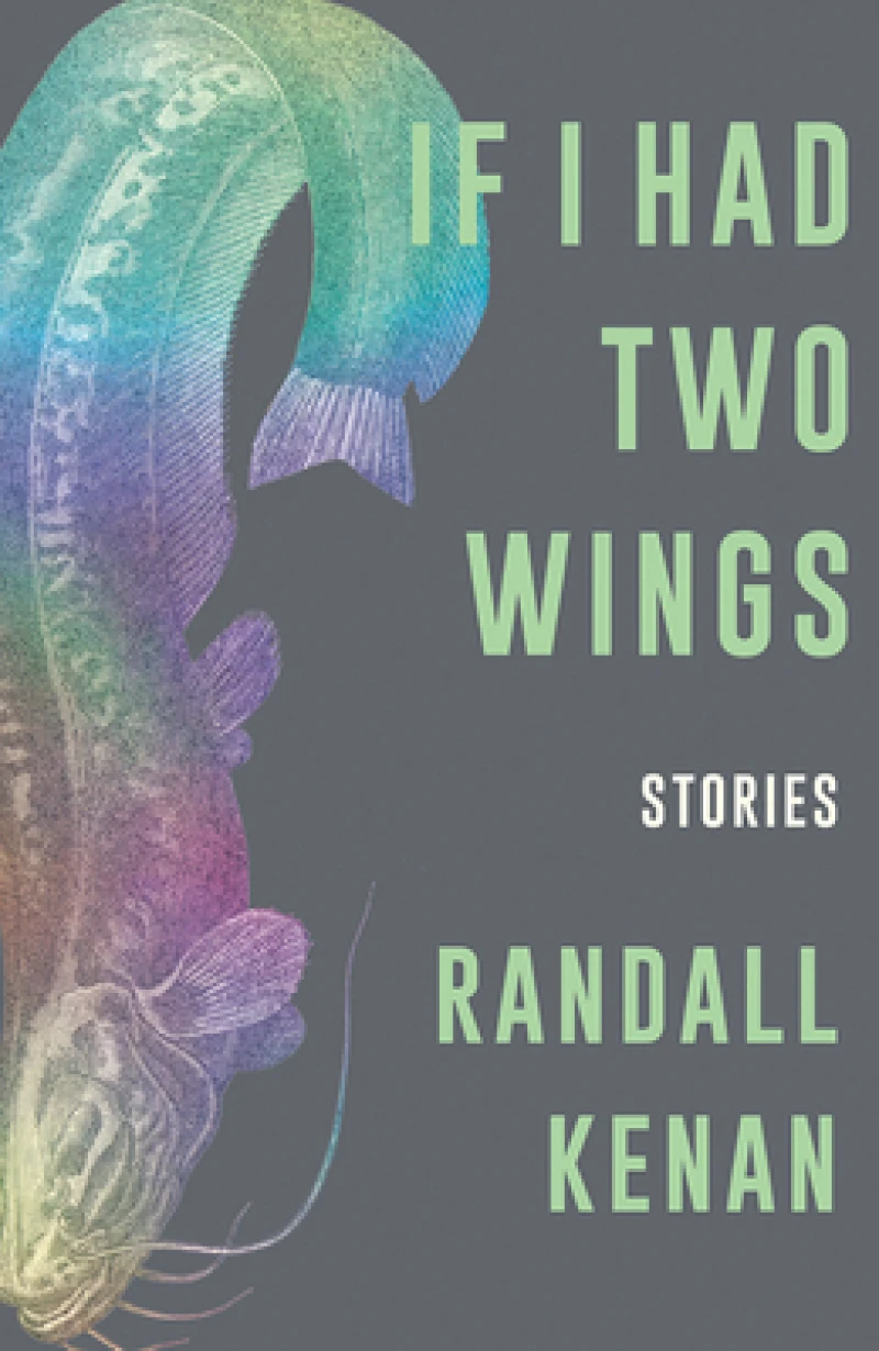 If I Had Two Wings - Stories