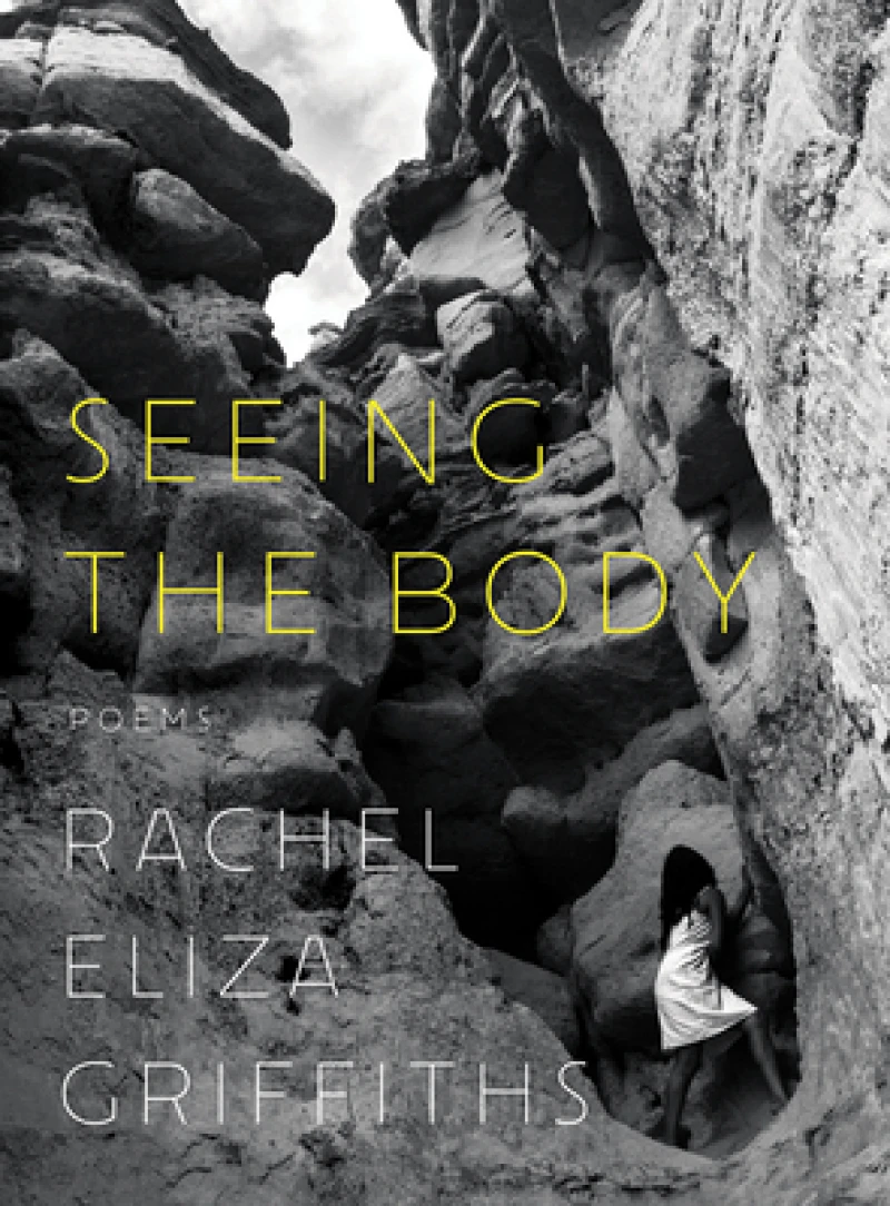 Seeing the Body - Poems