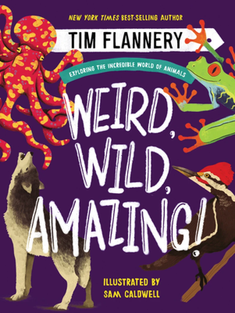 Weird, Wild, Amazing! - Exploring the Incredible World of Animals