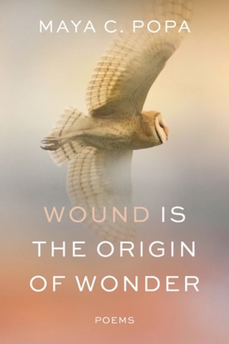 Wound Is the Origin of Wonder - Poems