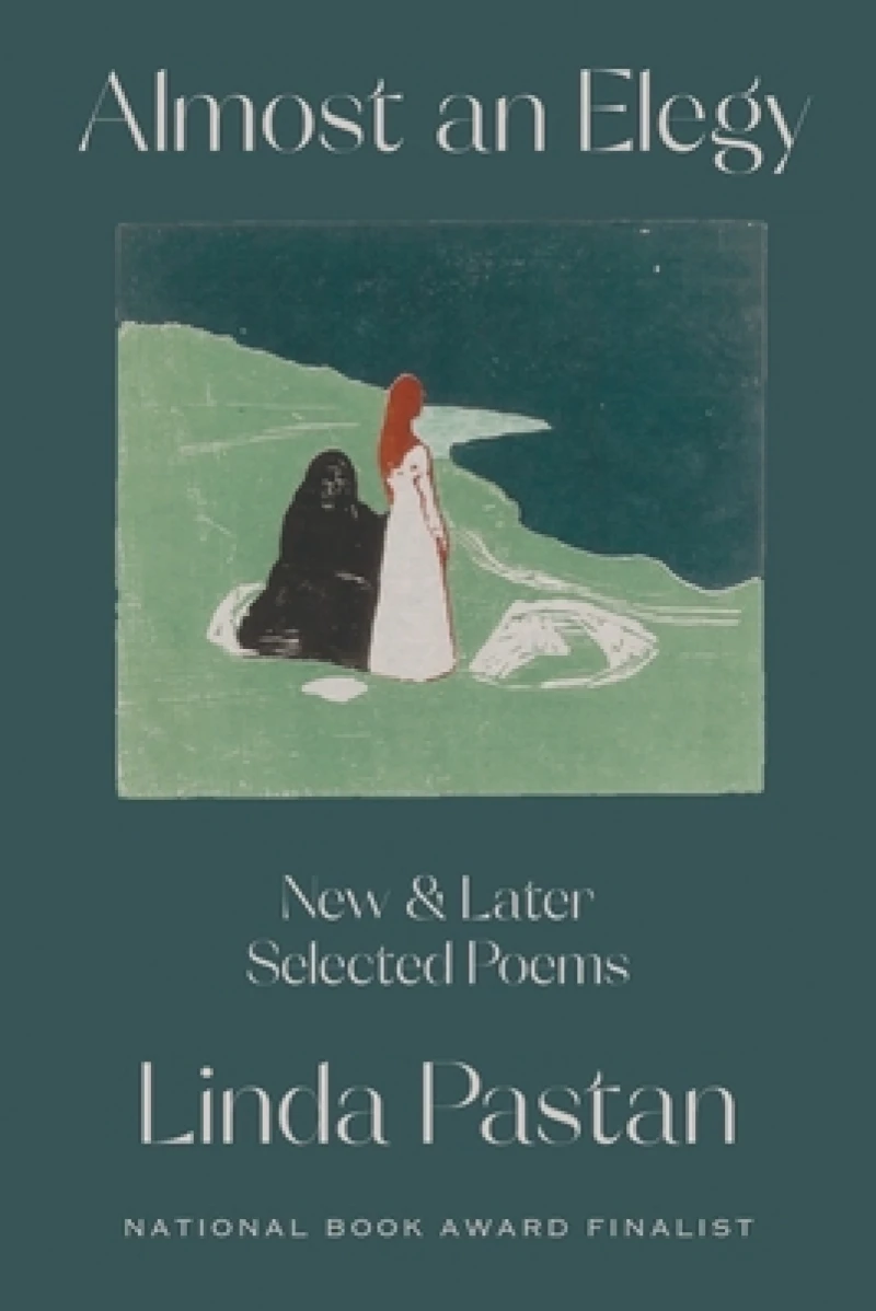 Almost an Elegy - New and Later Selected Poems