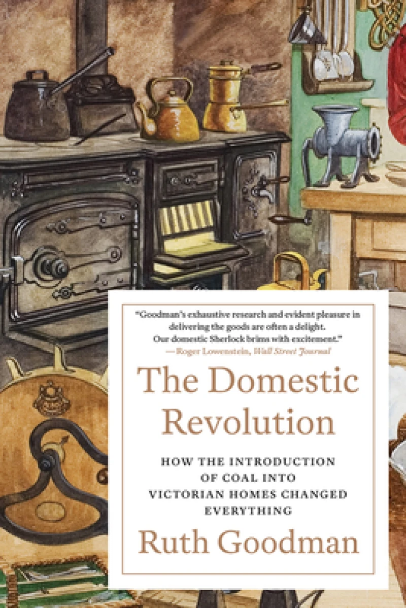 The Domestic Revolution - How the Introduction of Coal into Victorian Homes Changed Everything