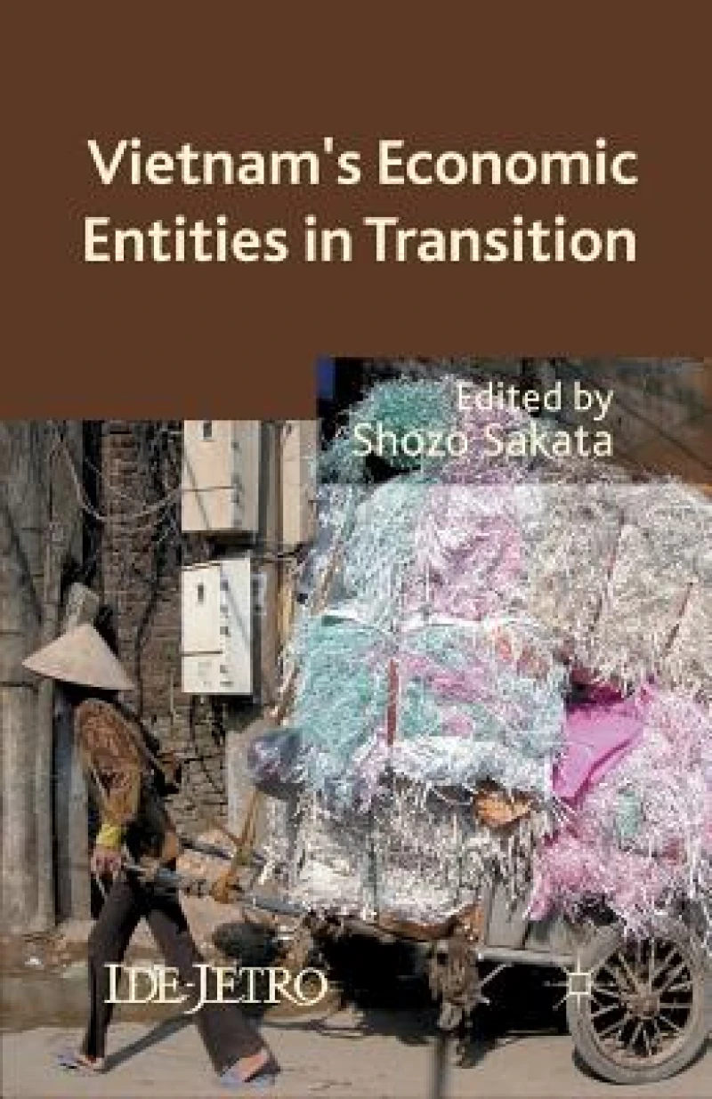 Vietnam''s Economic Entities in Transition