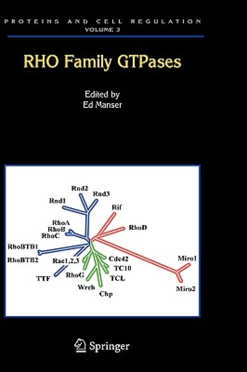 Rho Family GTPases