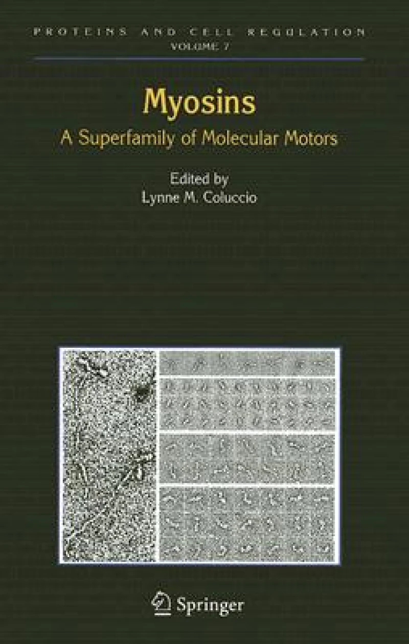 Myosins