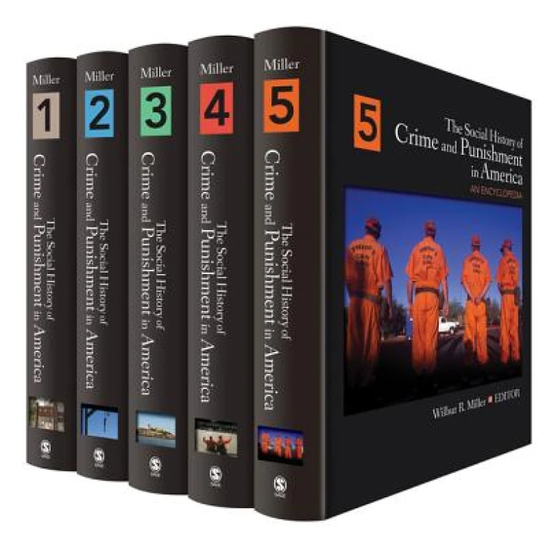 The Social History of Crime and Punishment in America