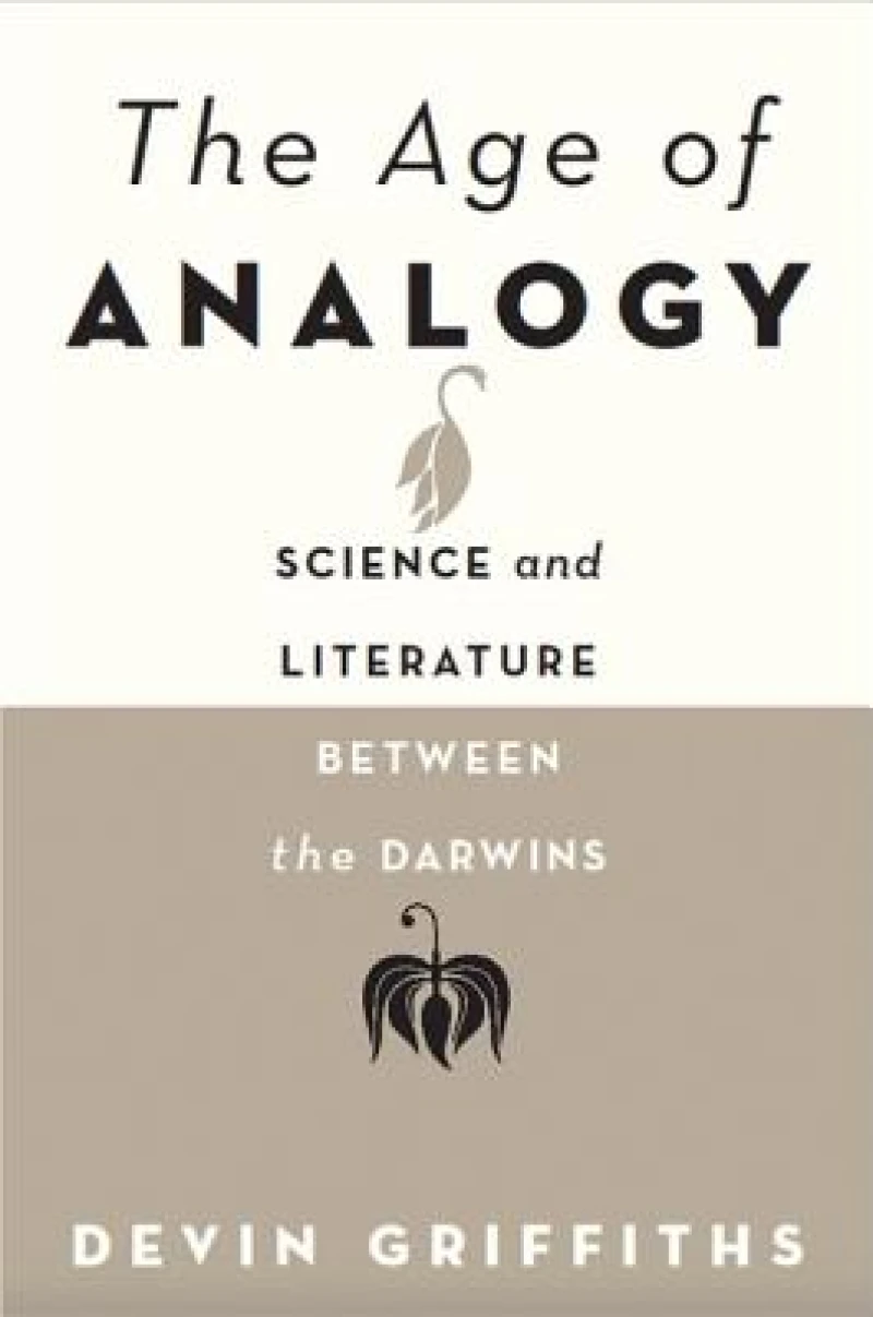 The Age of Analogy
