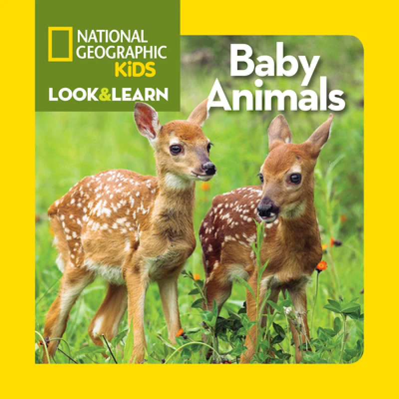 Look and Learn: Baby Animals