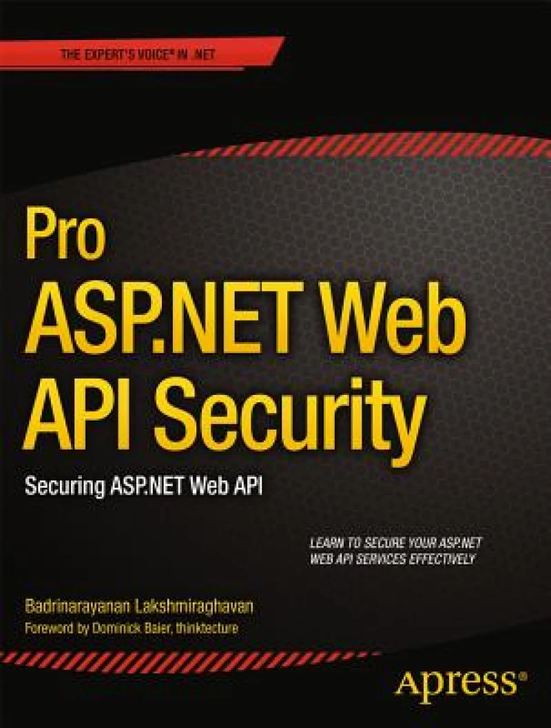 Pro ASP.NET Web API Security