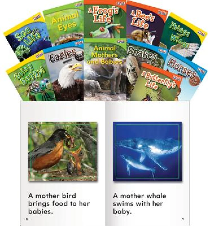 Animals and Insects 11-Book Set, Grade 1-3