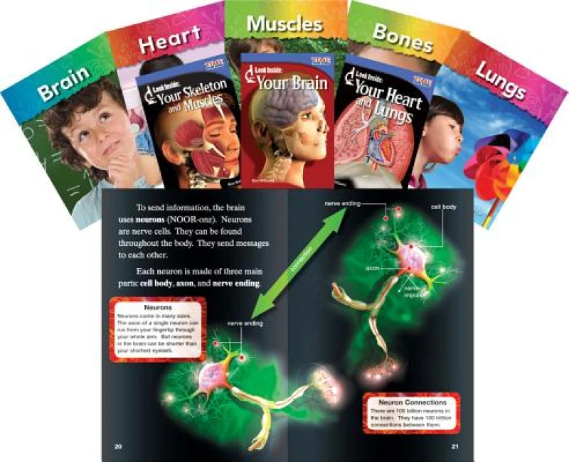 Our Bodies Set 8-book Set Grades 1-3