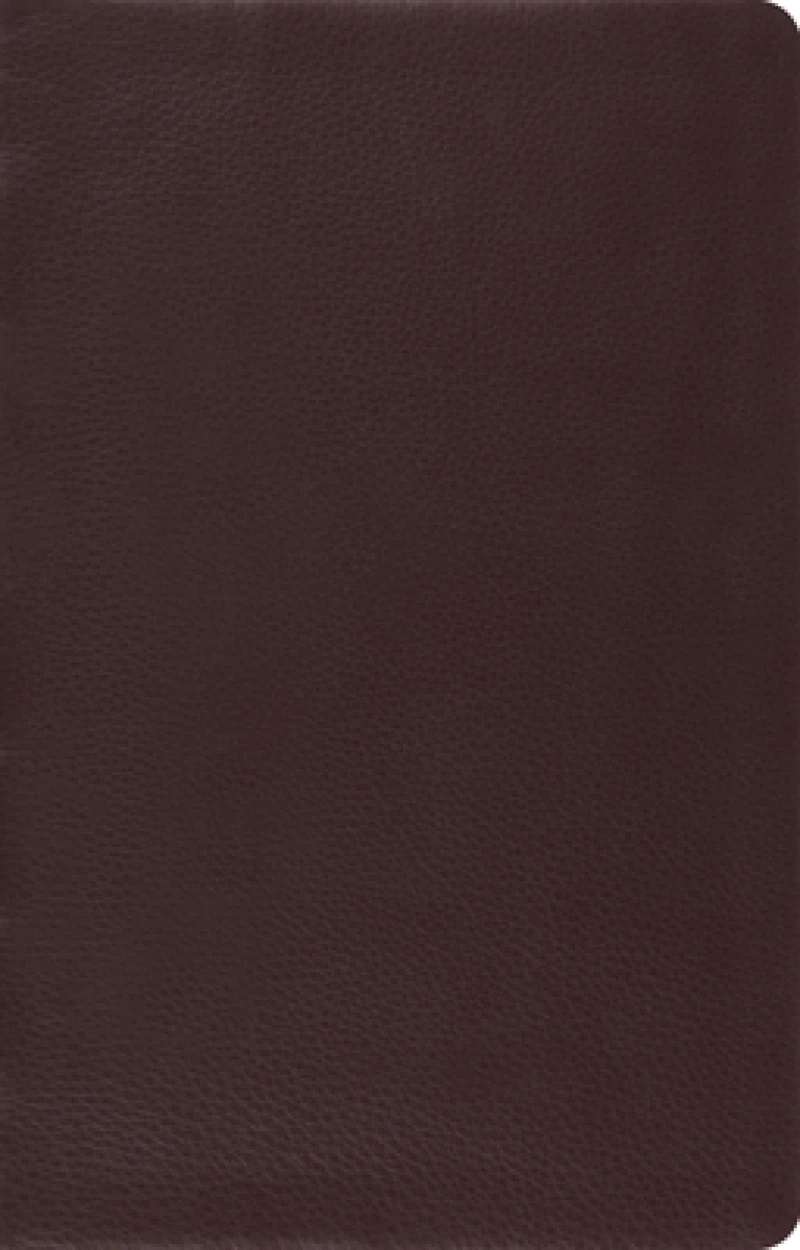 ESV Large Print Thinline Reference Bible