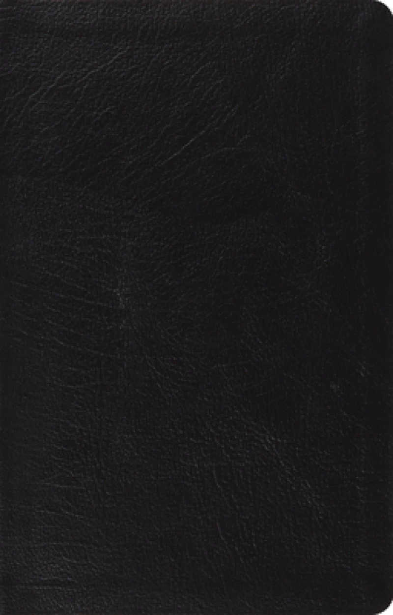 ESV Large Print Thinline Reference Bible
