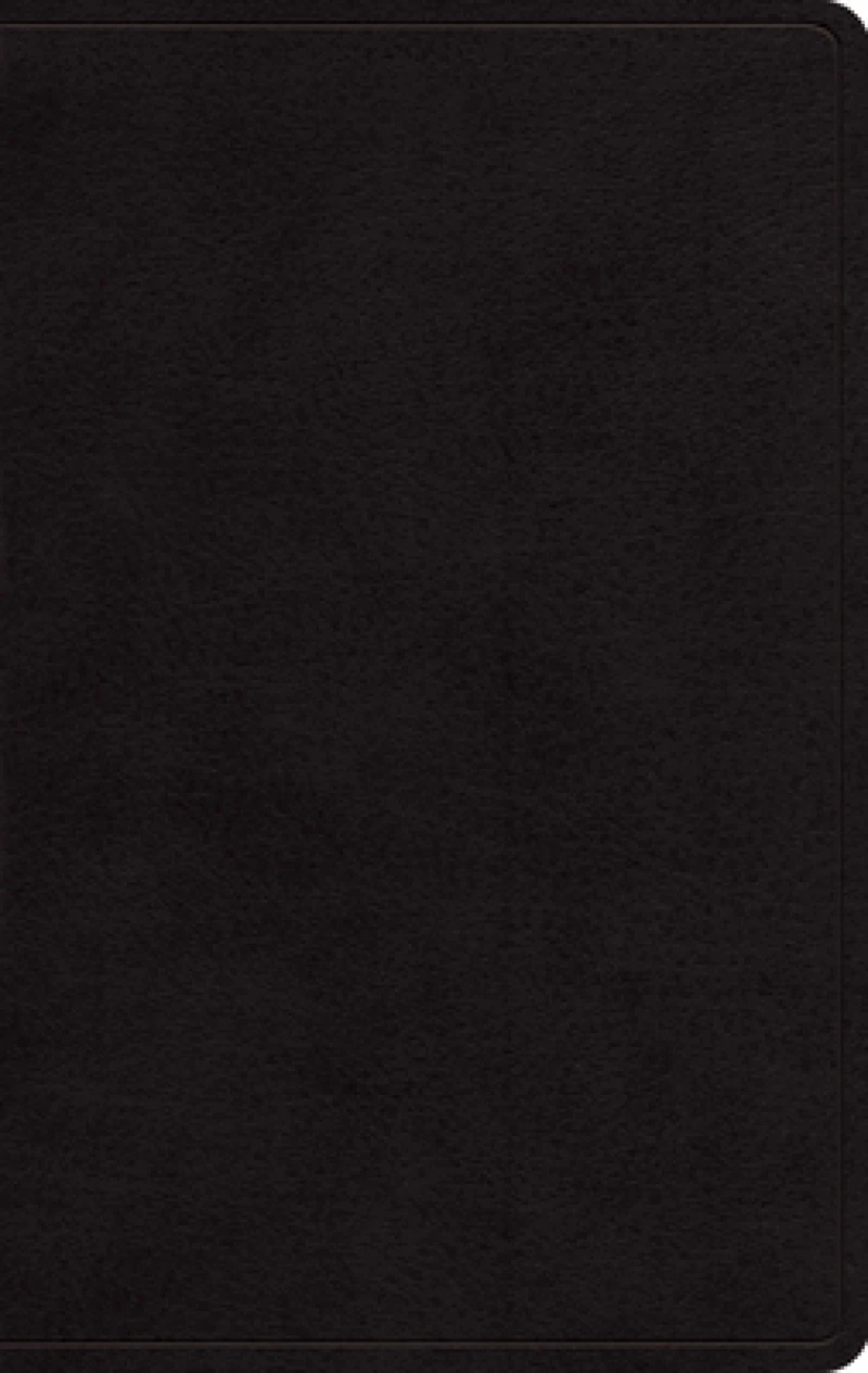 ESV Large Print Personal Size Bible, Red Letter