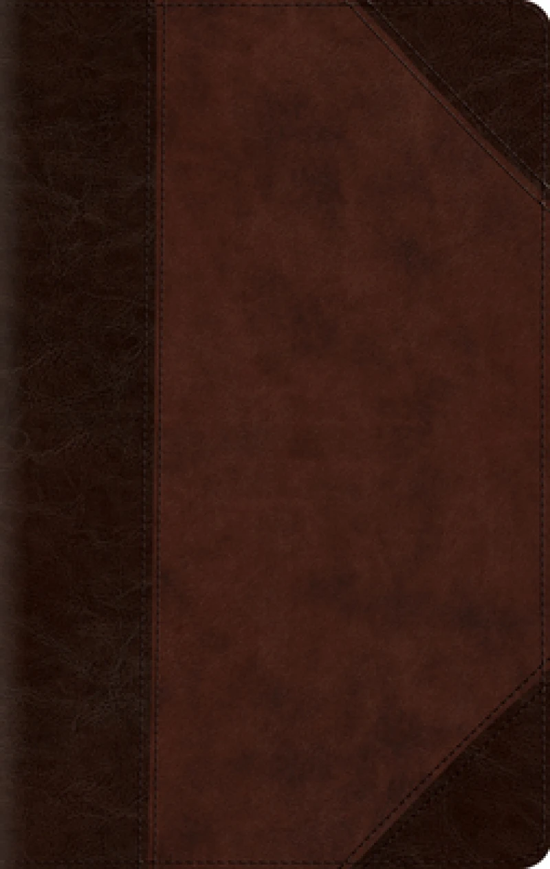 ESV Large Print Compact Bible, Red Letter
