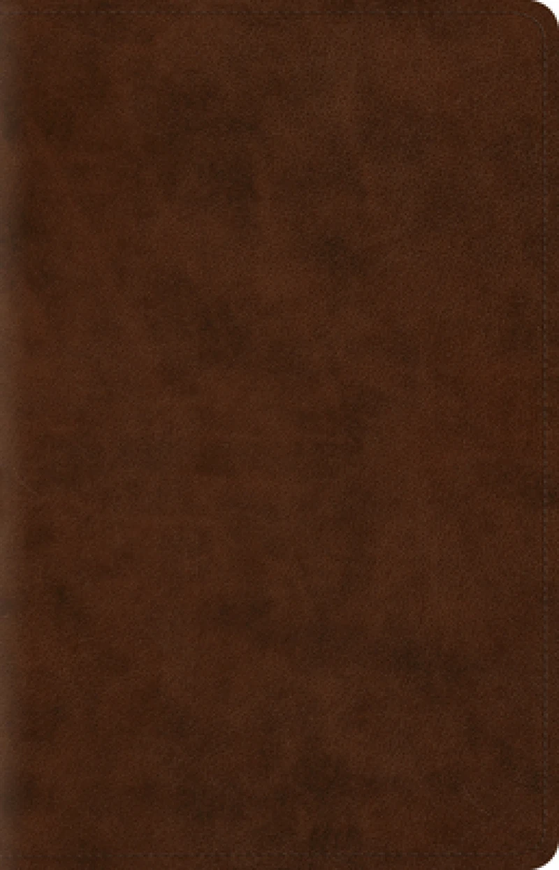 ESV Wide Margin Reference Bible, Red Letter