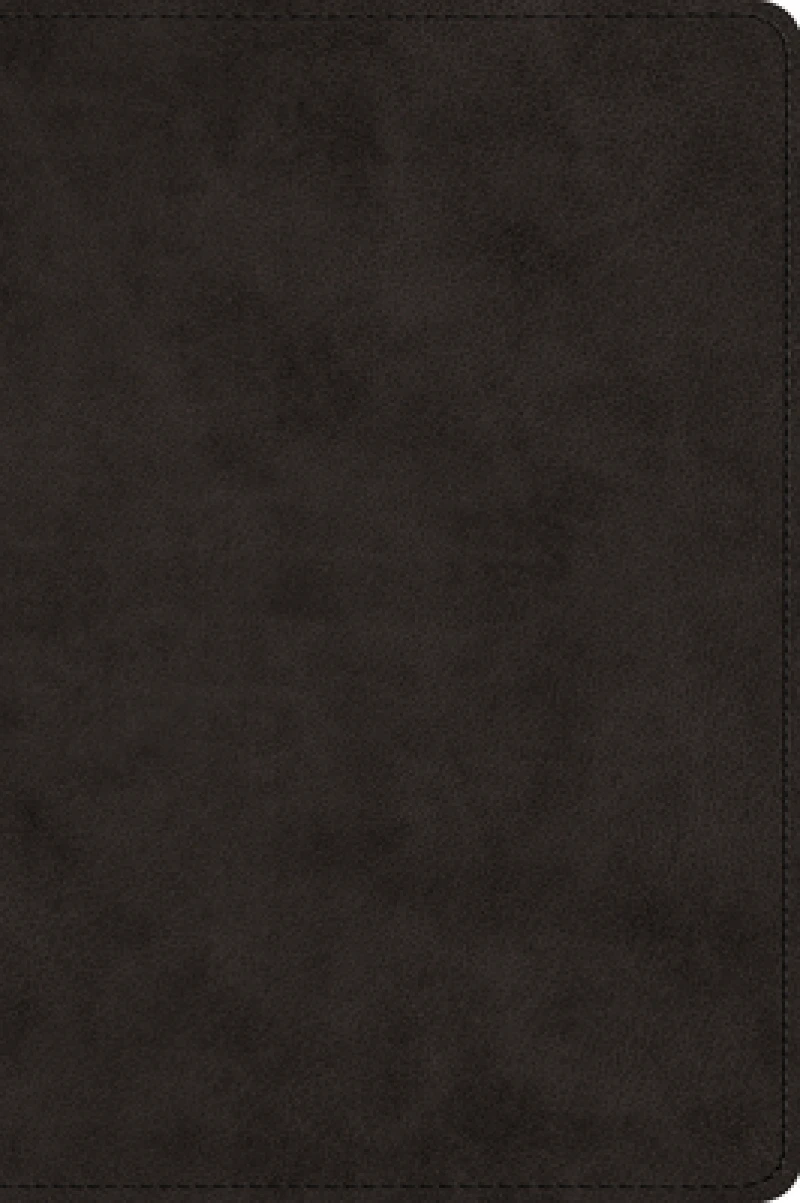 ESV Large Print Bible