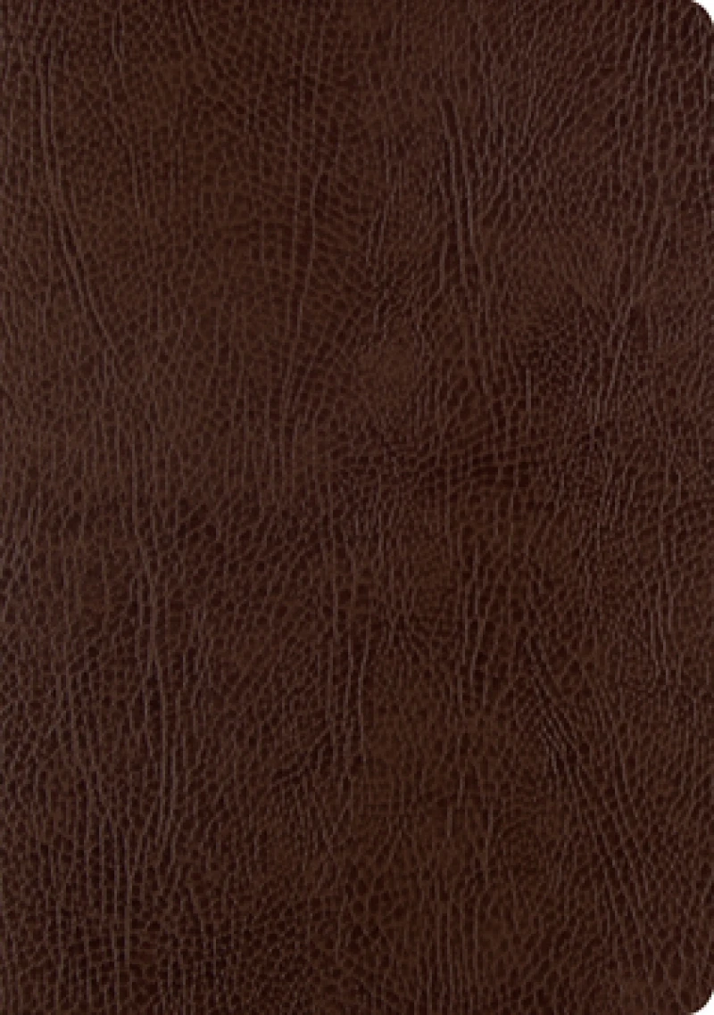 ESV Single Column Journaling Bible, Large Print