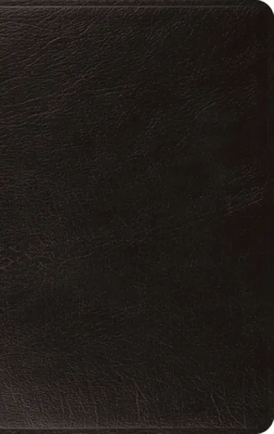 ESV Large Print Thinline Bible