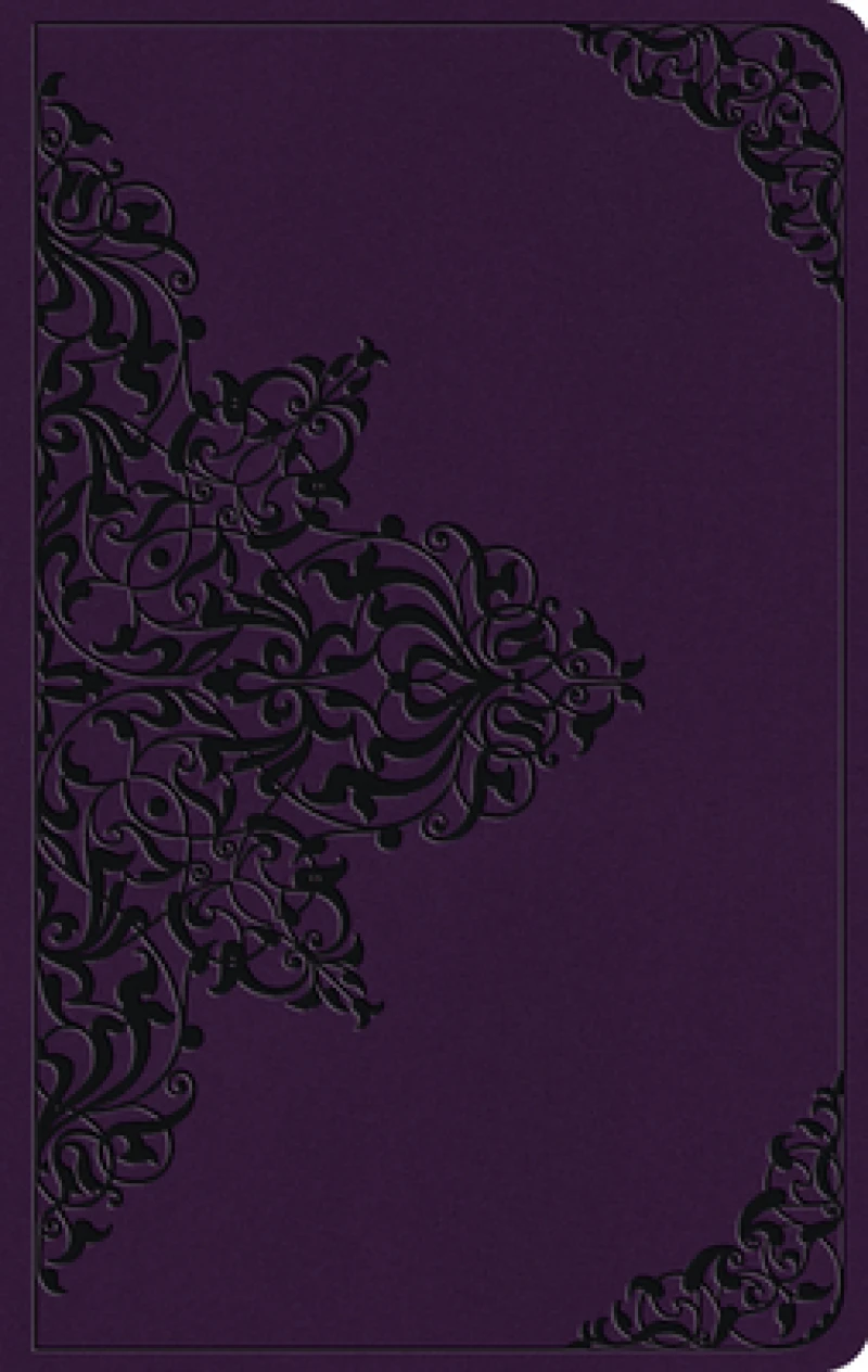 ESV Large Print Value Thinline Bible