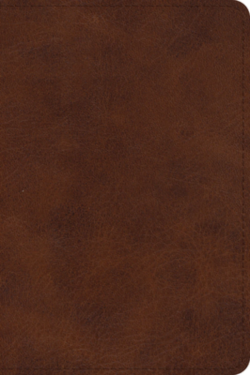 ESV Large Print Bible