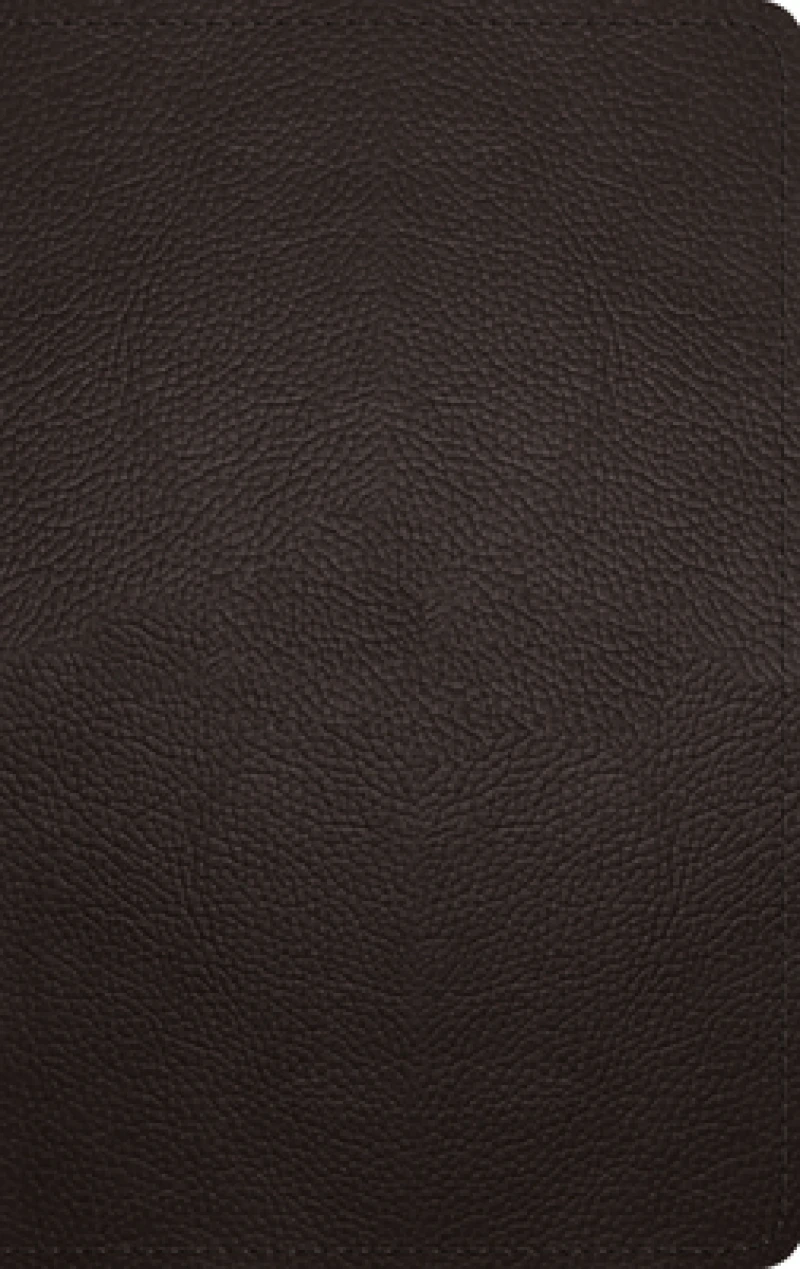 ESV Thinline Bible, Red Letter