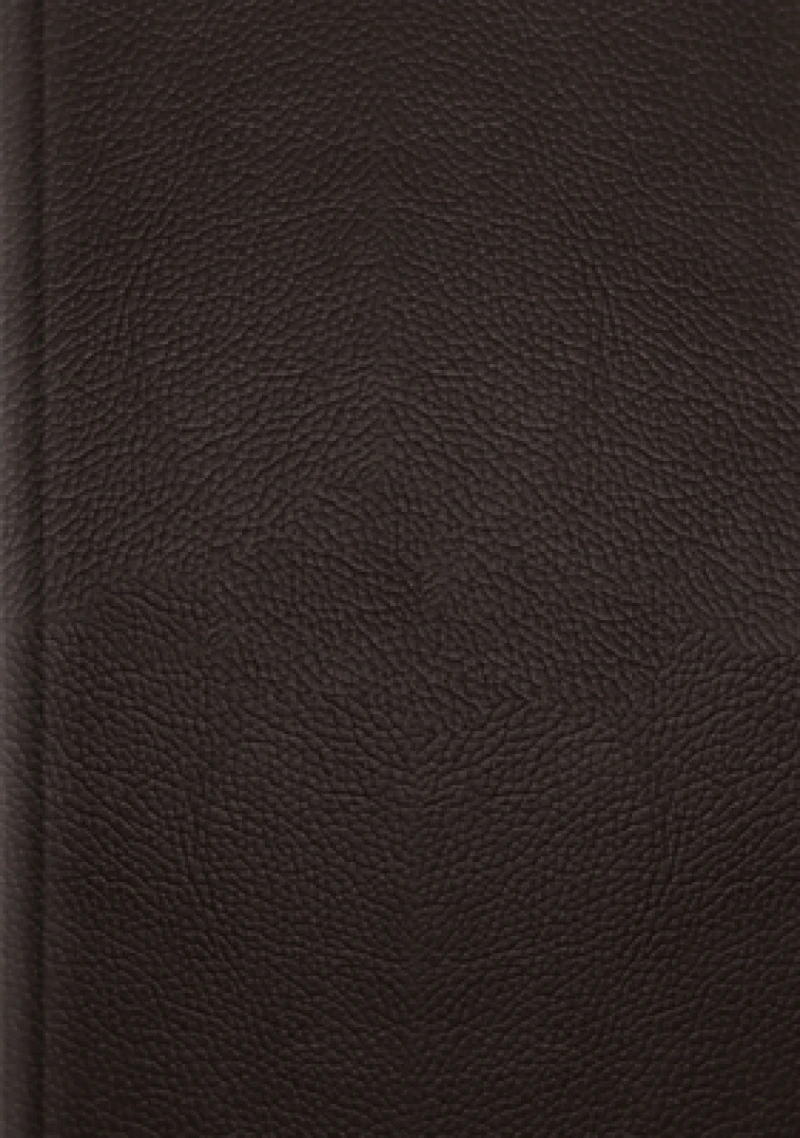 ESV Single Column Journaling Bible, Large Print