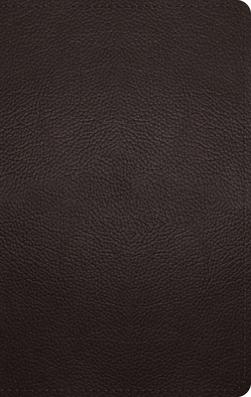 ESV Large Print Personal Size Bible, Red Letter
