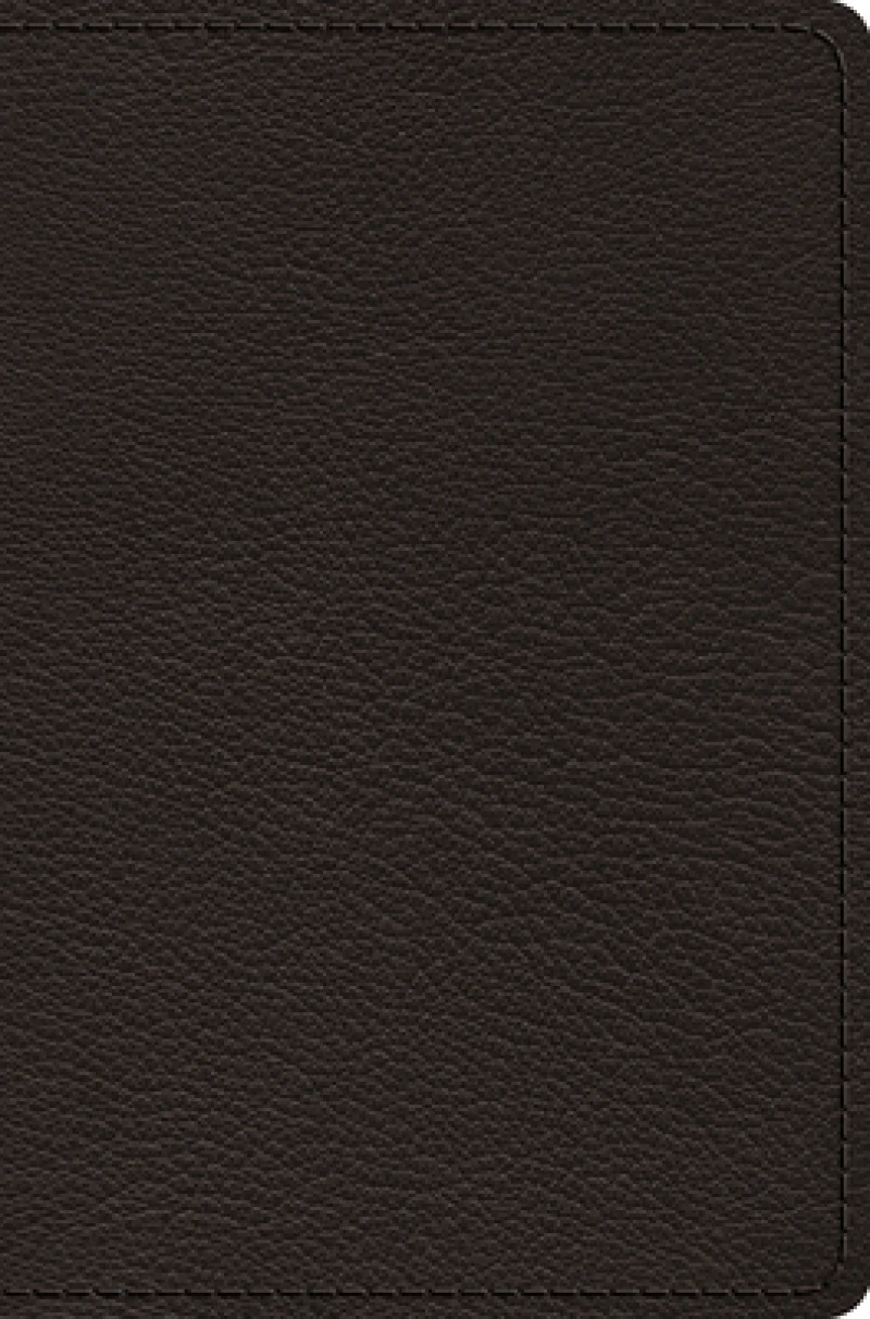 ESV Preaching Bible, Verse-by-Verse Edition