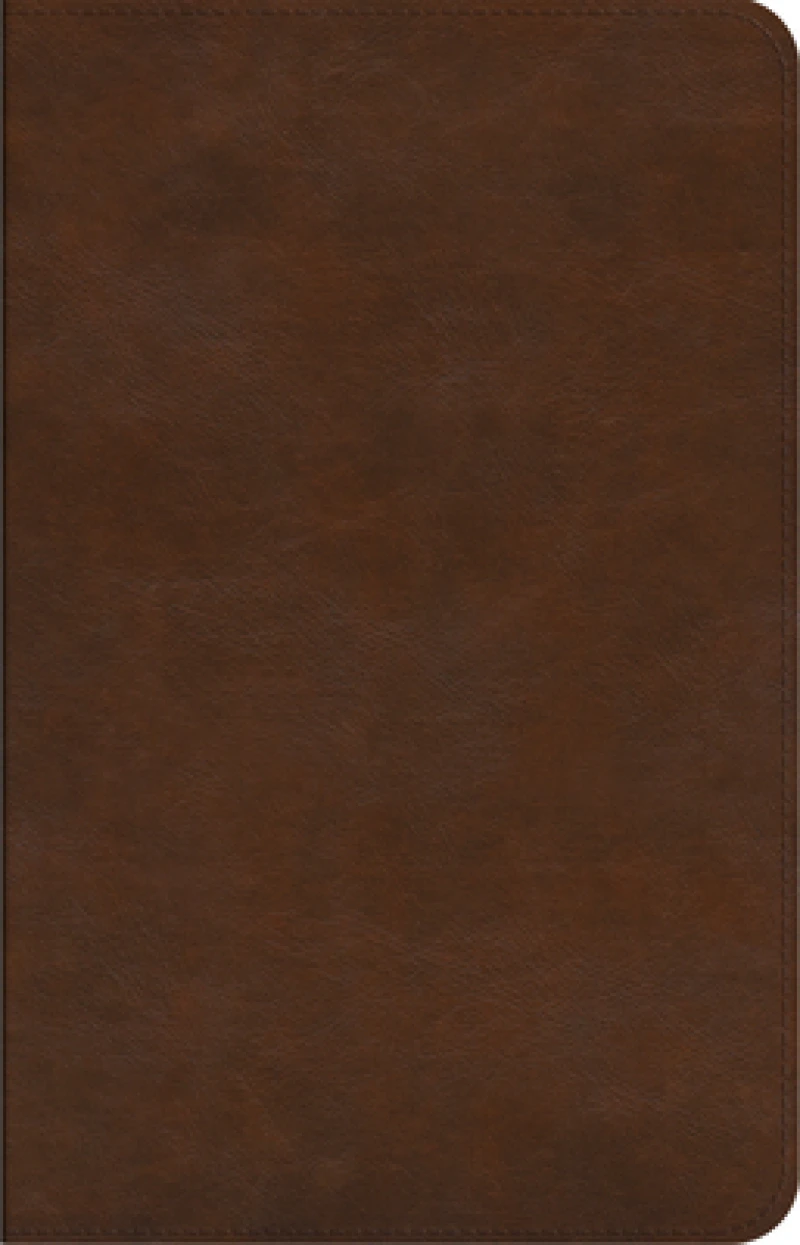 ESV Concise Study Bible™