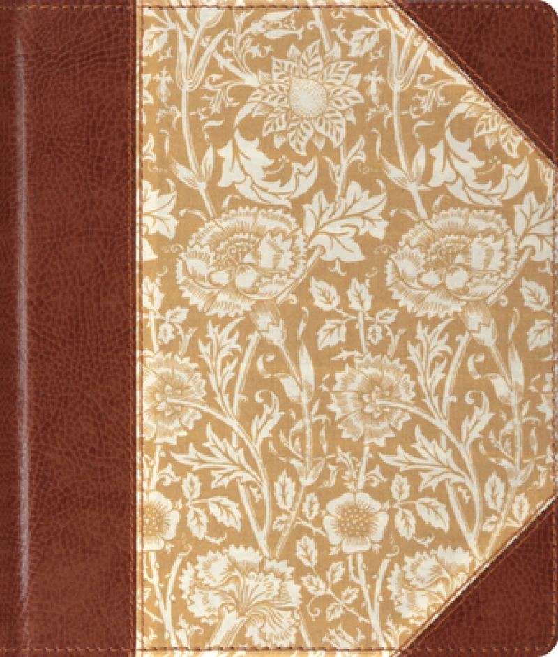 ESV Journaling Bible