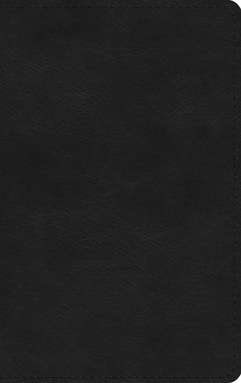 La Santa Biblia RVR 1960, Tamano Delgado