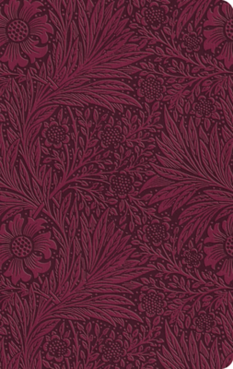 ESV Large Print Value Thinline Bible