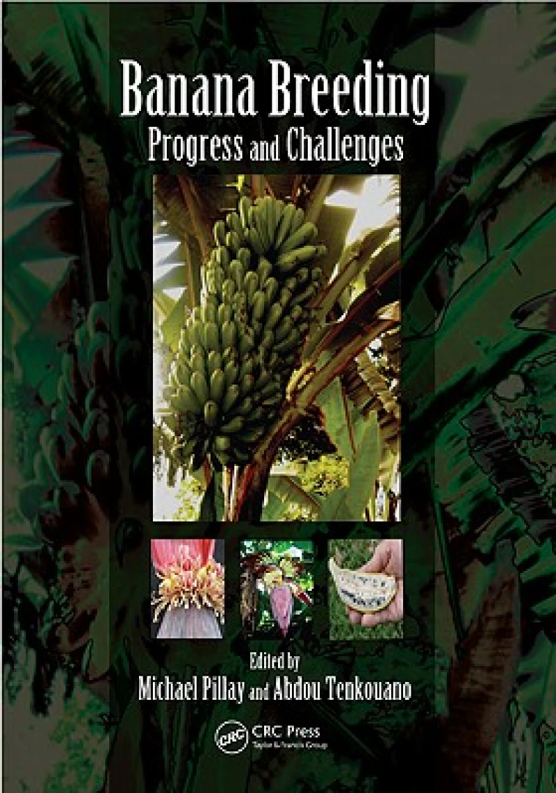 Banana Breeding