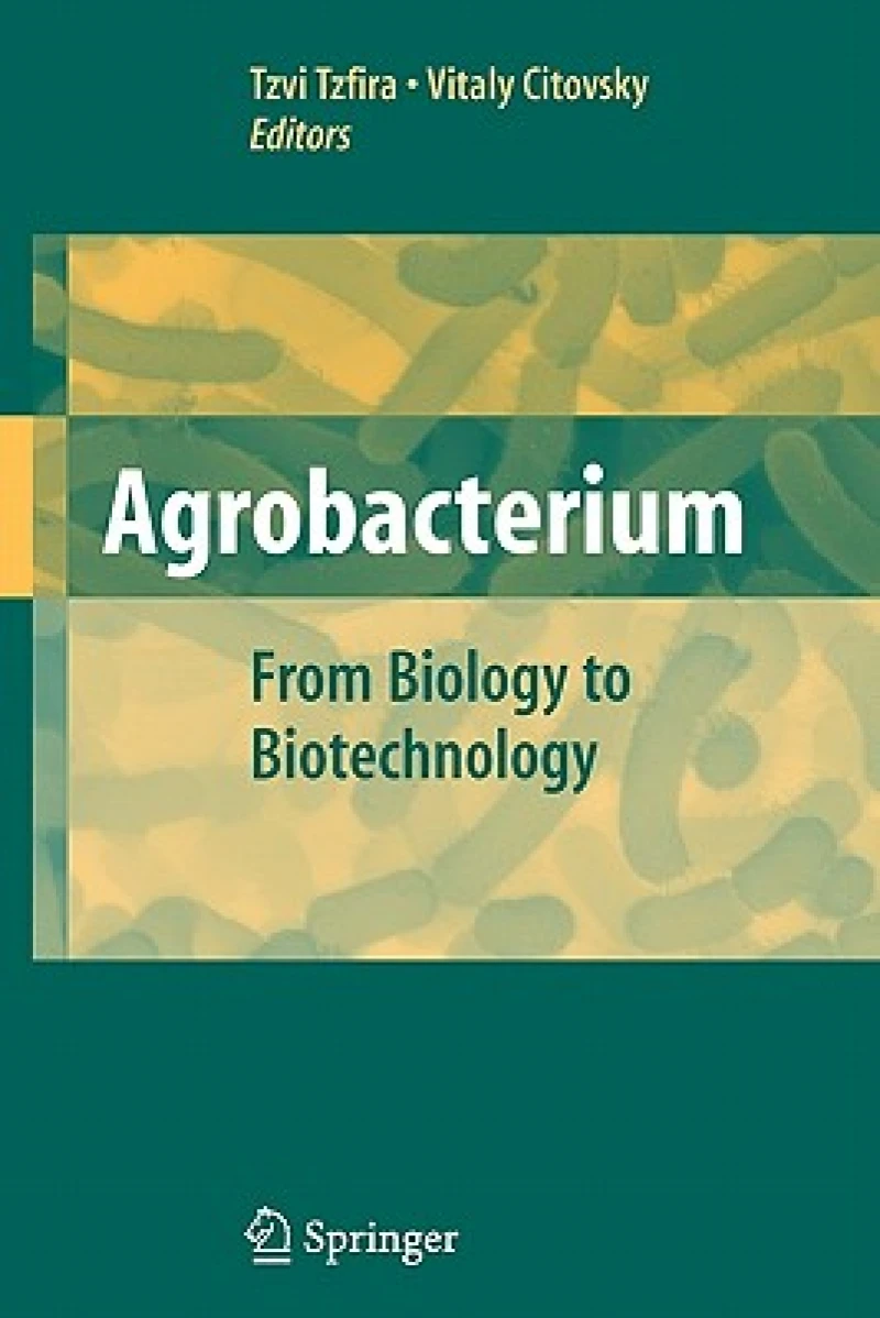 Agrobacterium