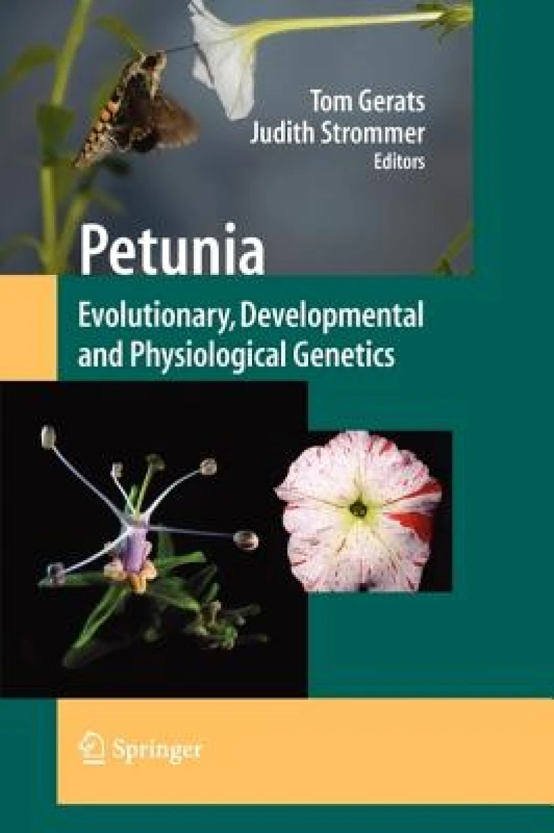 Petunia