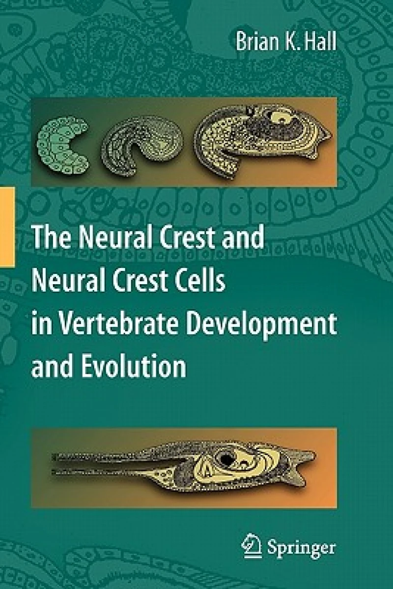 The Neural Crest and Neural Crest Cells in Vertebrate Development and Evolution