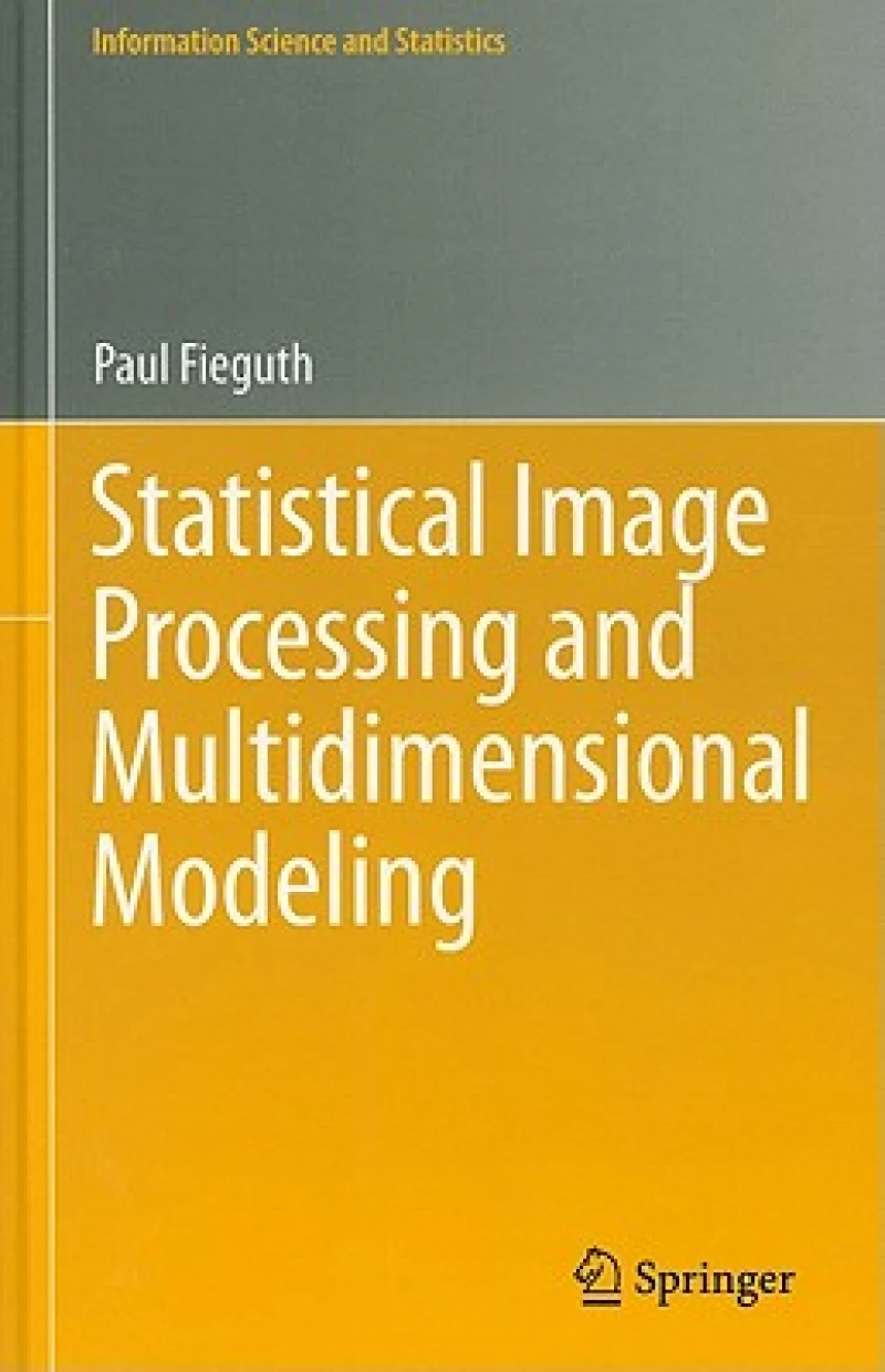 Statistical Image Processing and Multidimensional Modeling