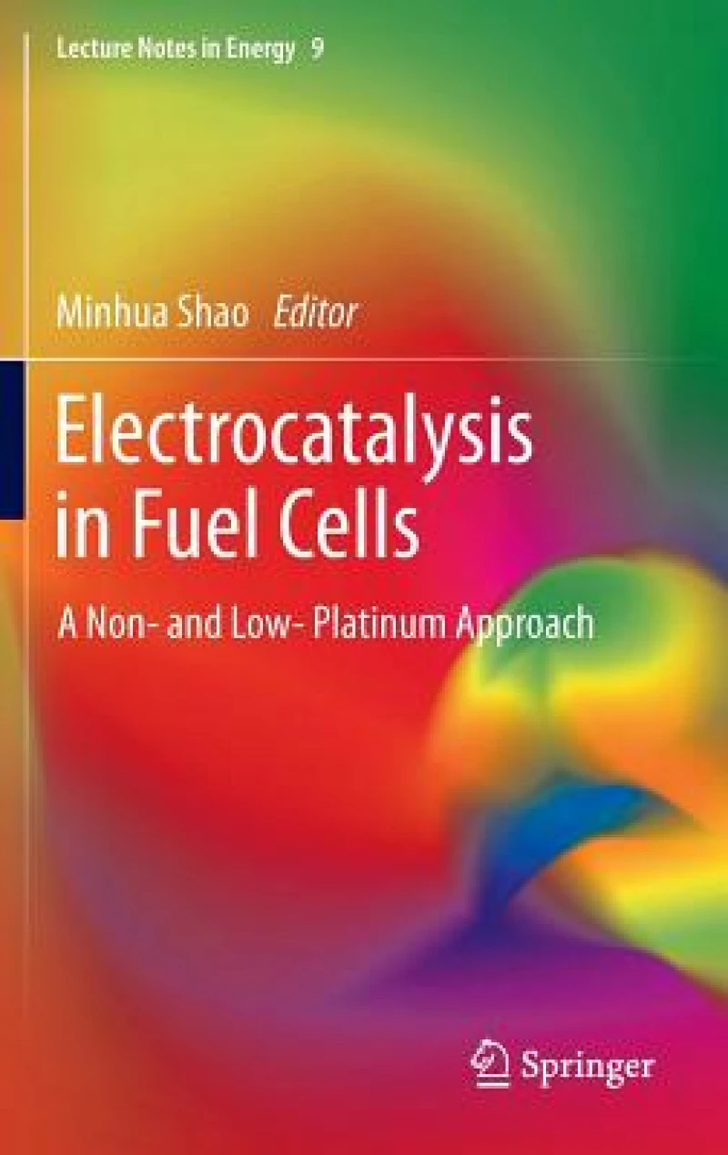 Electrocatalysis in Fuel Cells