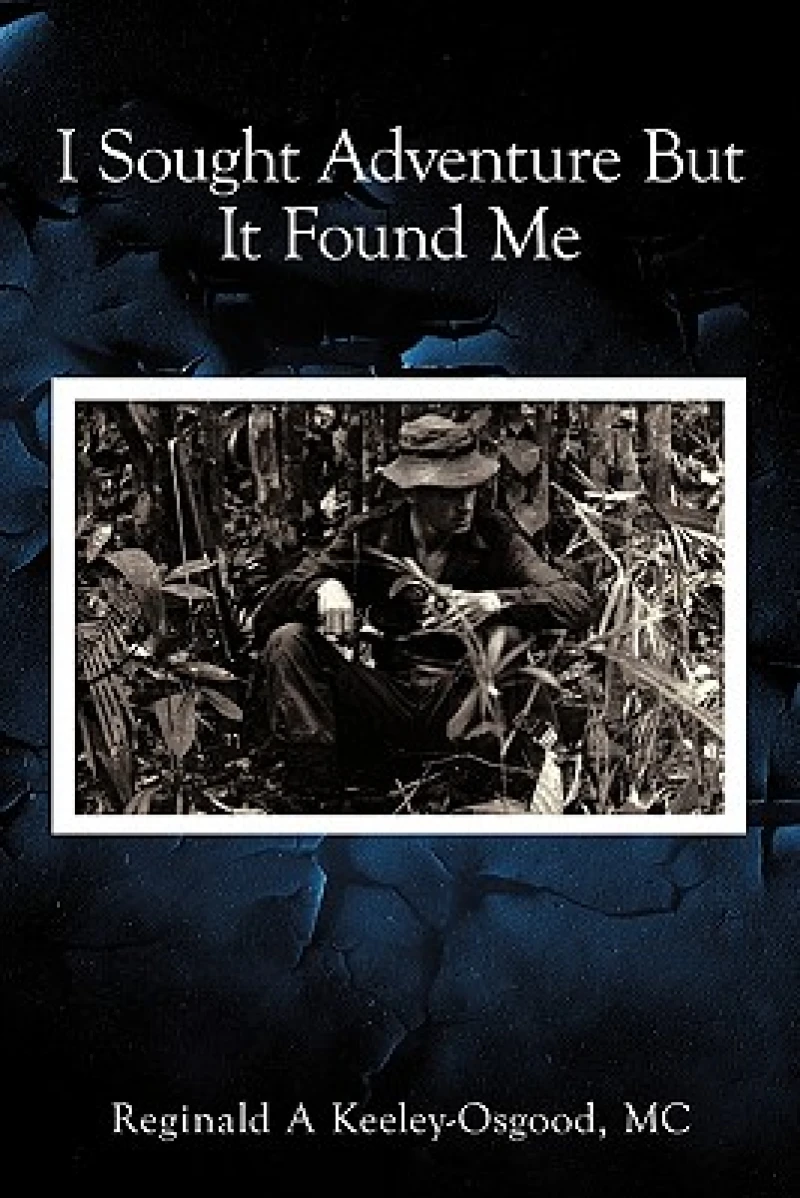 I Sought Adventure But It Found Me
