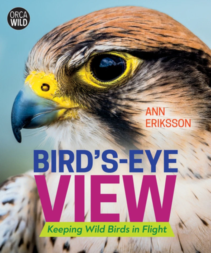 Bird''s-Eye View
